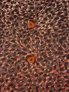 Raffy Sheer Leopard Print Jacket