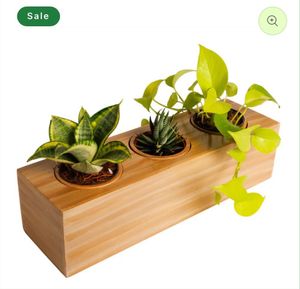 Eco Wood Box Planter