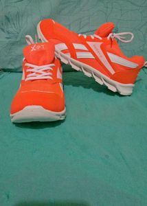 Sports Shoes for Players