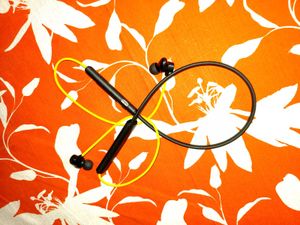 Wireless Neckband