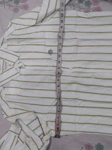 Polo Assn. Striped Shirt