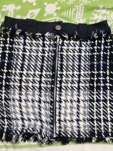 Zara Front Zip Skirt
