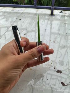 Glowingeneration Green Colour Eyeliner 💚