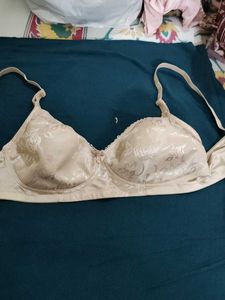 Beautiful Fancy Bra