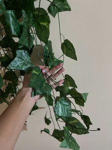 4Artifical  Vines