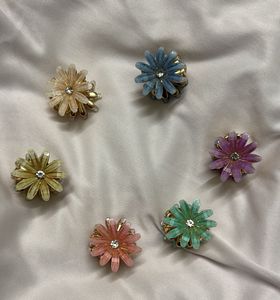 6 Floral Hair Clips