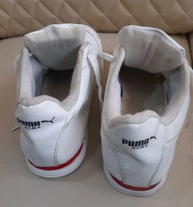 BMW Puma Roma Shoes