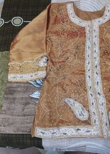 Vintage Elegant Embellished Lehnga