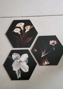 Wall Decor Of 3 Pieces