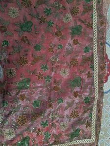 Beautiful delicate Organza embroidery saree