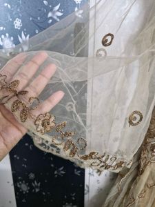 Designer Embroidery Gown