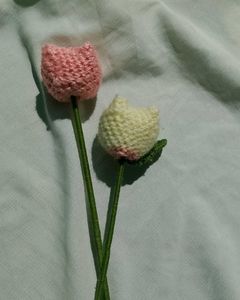 Tulip 🌷🧶