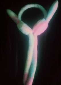 Pastel Fuzzy Earmuffs