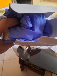 Zwpham Hand Gloves Non Powdered