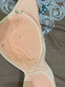 Padded Bra