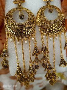 Beautiful Earring