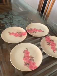 4 PCS PLATES