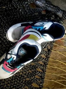 Cablo Sneakers