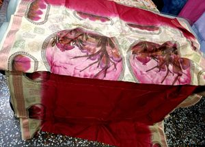 Beautiful Saree