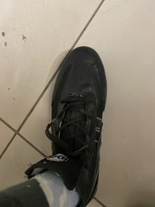 High Ankle, Unused Laceup Shoes