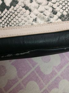 Lady Handbag