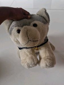 Dog Soft Toy