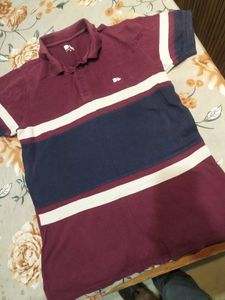 Men Branded  Tshirts