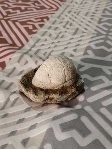 Unique Stone Sculpture