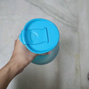 Blue Jug