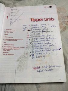 Human Anatomy - Volume 1