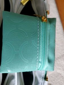 Chic Handbag