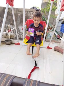 Garden &amp; School Toy Swing For Children
