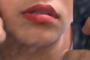 Berry Beauty | Nude Shade Lipgloss | Non Transfer