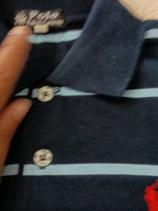 Ralph Lauren Polo Collar blue stripe t-shirt