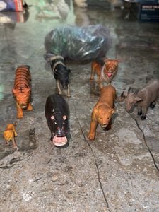 Animal Figures