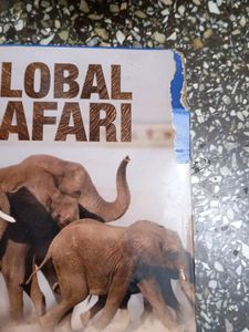 Global Safari