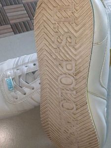 Shoe