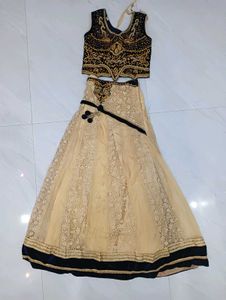 Embroidered Lehenga Choli