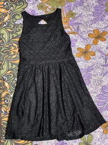 NoBo Bold &amp; Beautiful Black Lace Mini Dress