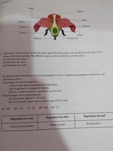 Class 8 Science Textbook