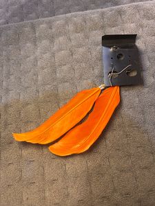 Set of 2 Feather Earrings
