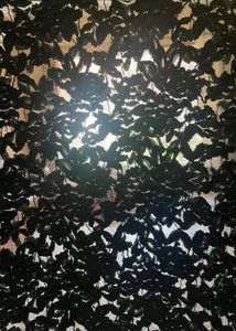 Black Lace Top For Casual Wear