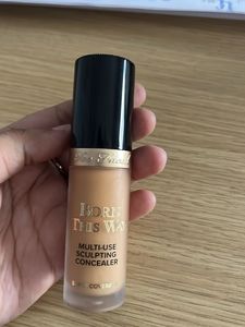 Too Faced Concealer Shade Golden