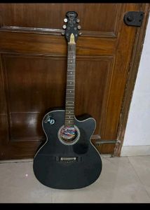 Guitar Gig Bag