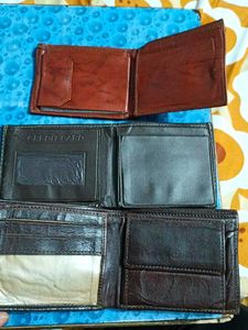 Assorted Wallets Gents (Pack Of 9)