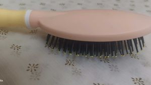 Paddle Brush