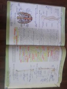 NCERT Class 11 Biology