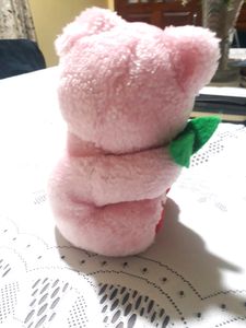 Soft Pink Teddy Bear