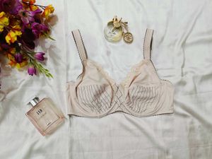 🇭🇲💫❣️ Heavy quality imported bra