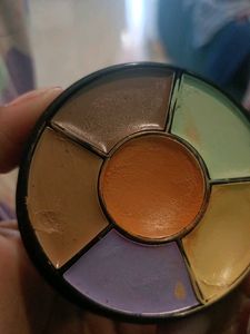Insight Pro Concealer Palette